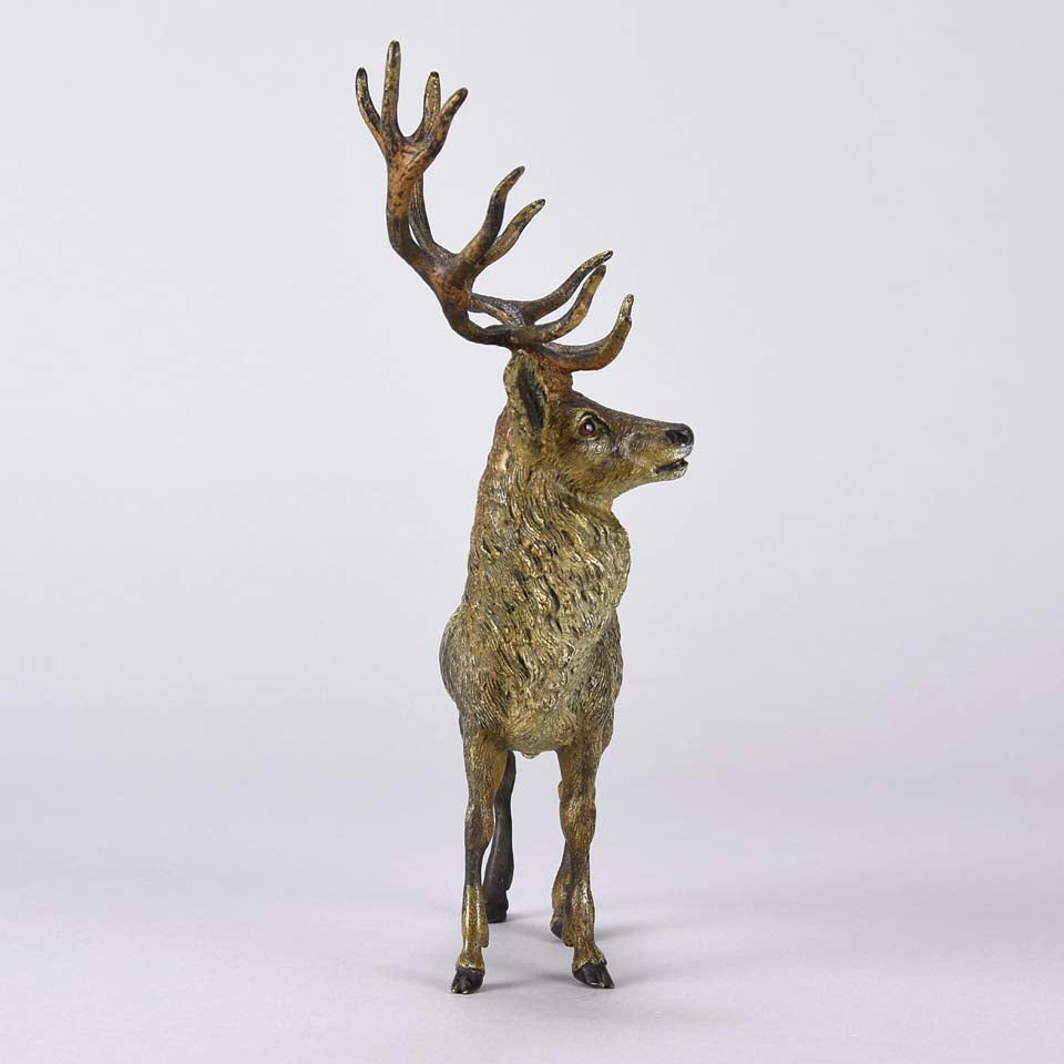 Franz Bergman Stag - Austrian Bronze - Hickmet Fine Arts