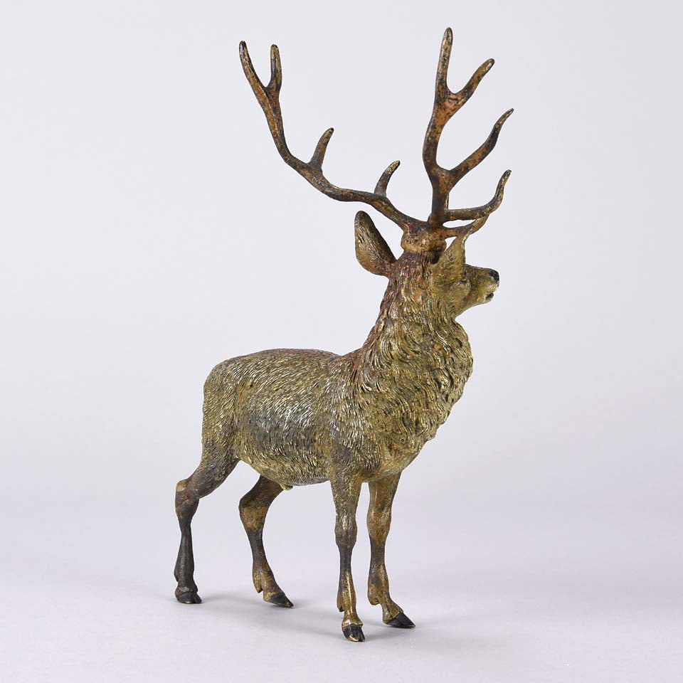 Franz Bergman Stag - Austrian Bronze - Hickmet Fine Arts