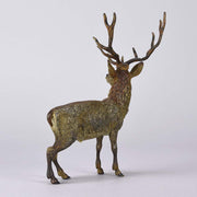 Franz Bergman Stag - Austrian Bronze - Hickmet Fine Arts