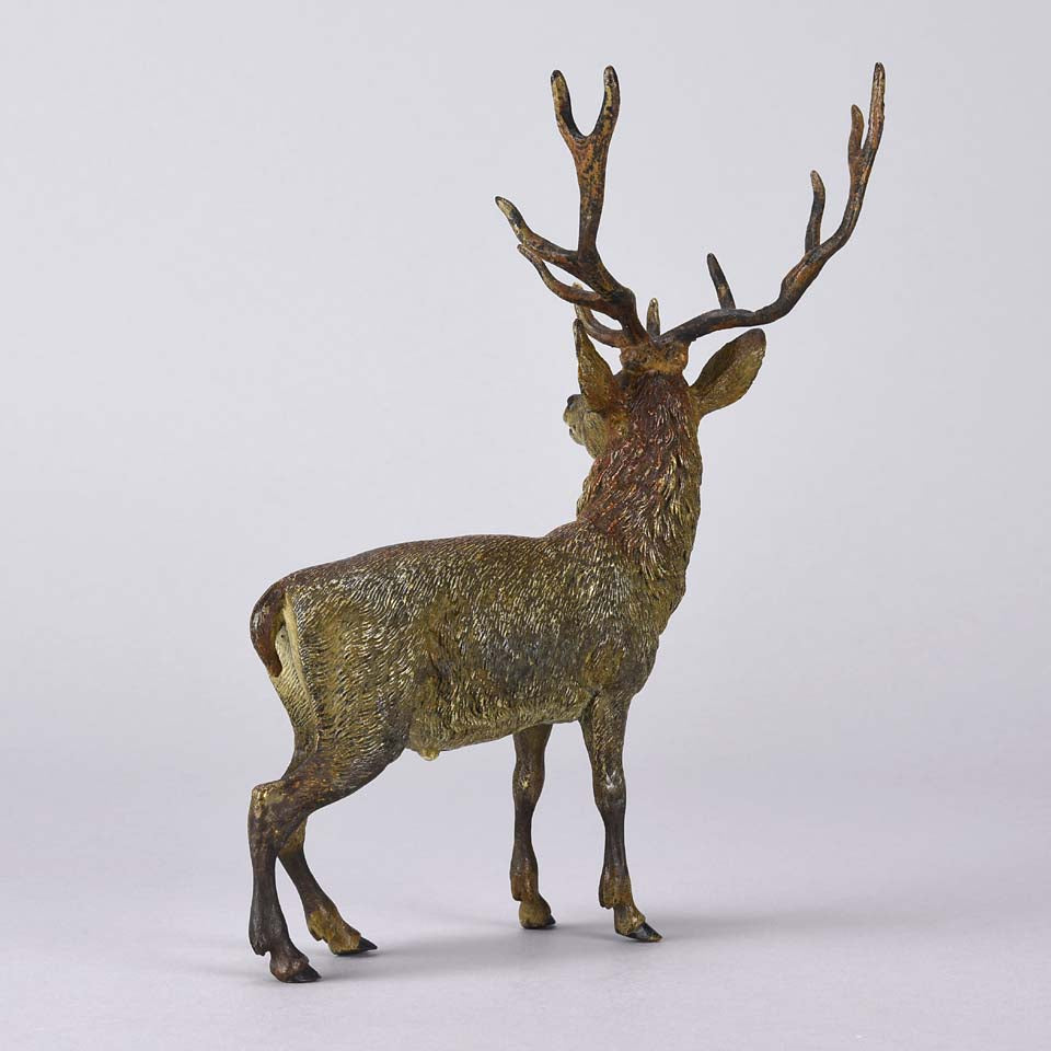 Franz Bergman Stag - Austrian Bronze - Hickmet Fine Arts