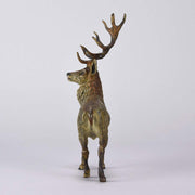 Franz Bergman Stag - Austrian Bronze - Hickmet Fine Arts