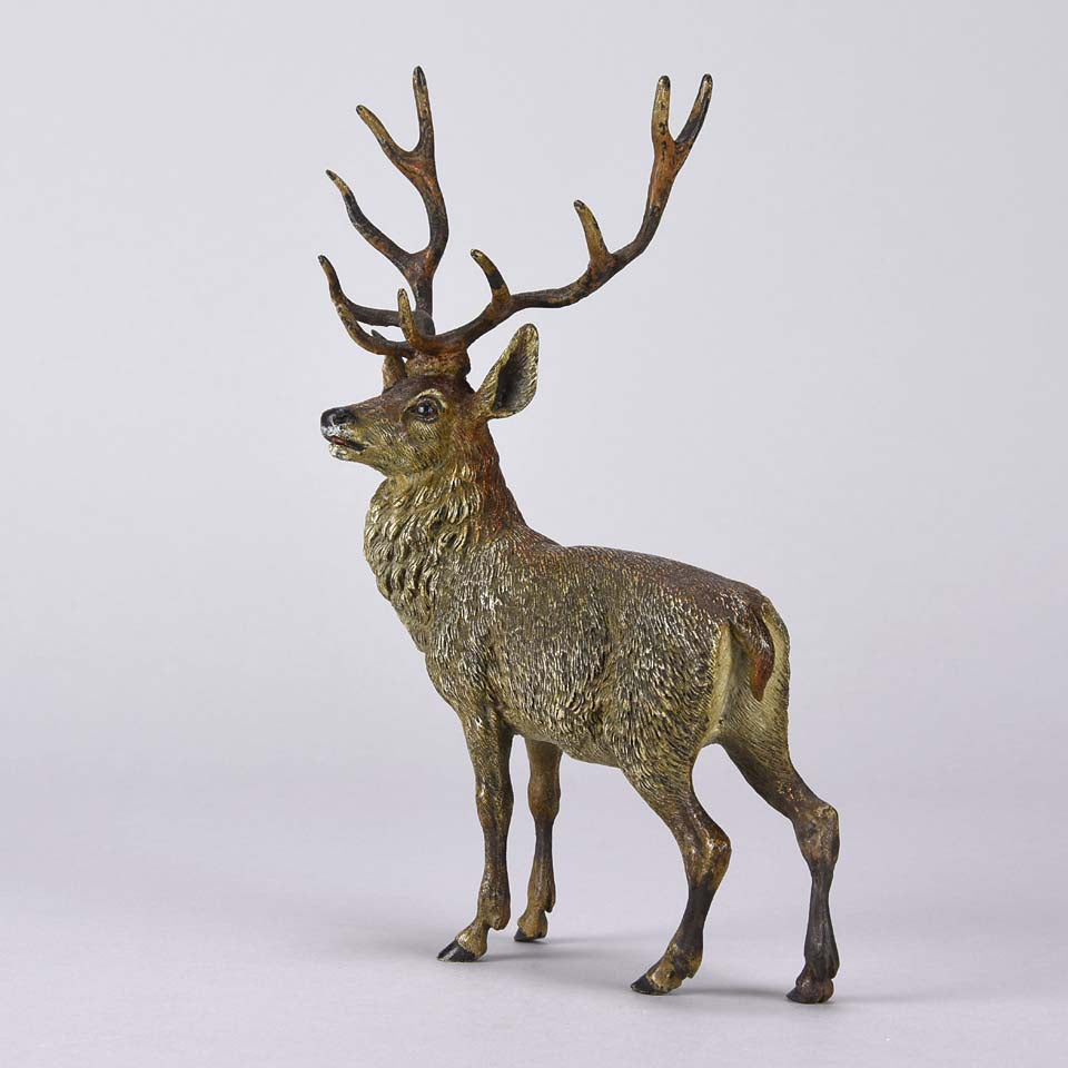 Franz Bergman Stag - Austrian Bronze - Hickmet Fine Arts