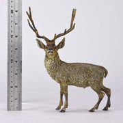 Franz Bergman Stag - Austrian Bronze - Hickmet Fine Arts