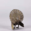 Franz Xavier Bergman Bronze Turkey - Austrian Bronze - Hickmet FIine Arts