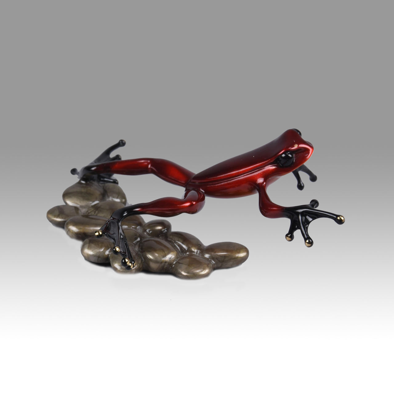 "Frog on Pebbles" by Tim Cotterill