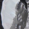 Goebel Glass - Eagle - Hickmet Fine Arts