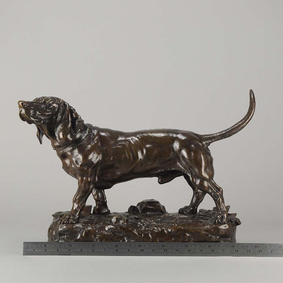 Bronze Basset by Moigniez