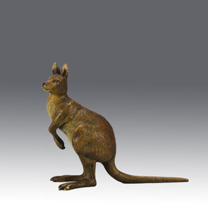 Kangaroo" by Franz Bergman a charming early 20th Century Austrian cold painted bronze study of a standing kangaroo with excellent naturalistic hand chased surface detail and fine colour