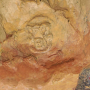 Bergman Bronze Kingfisher