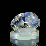 René Lalique, Cachet "Renard" 