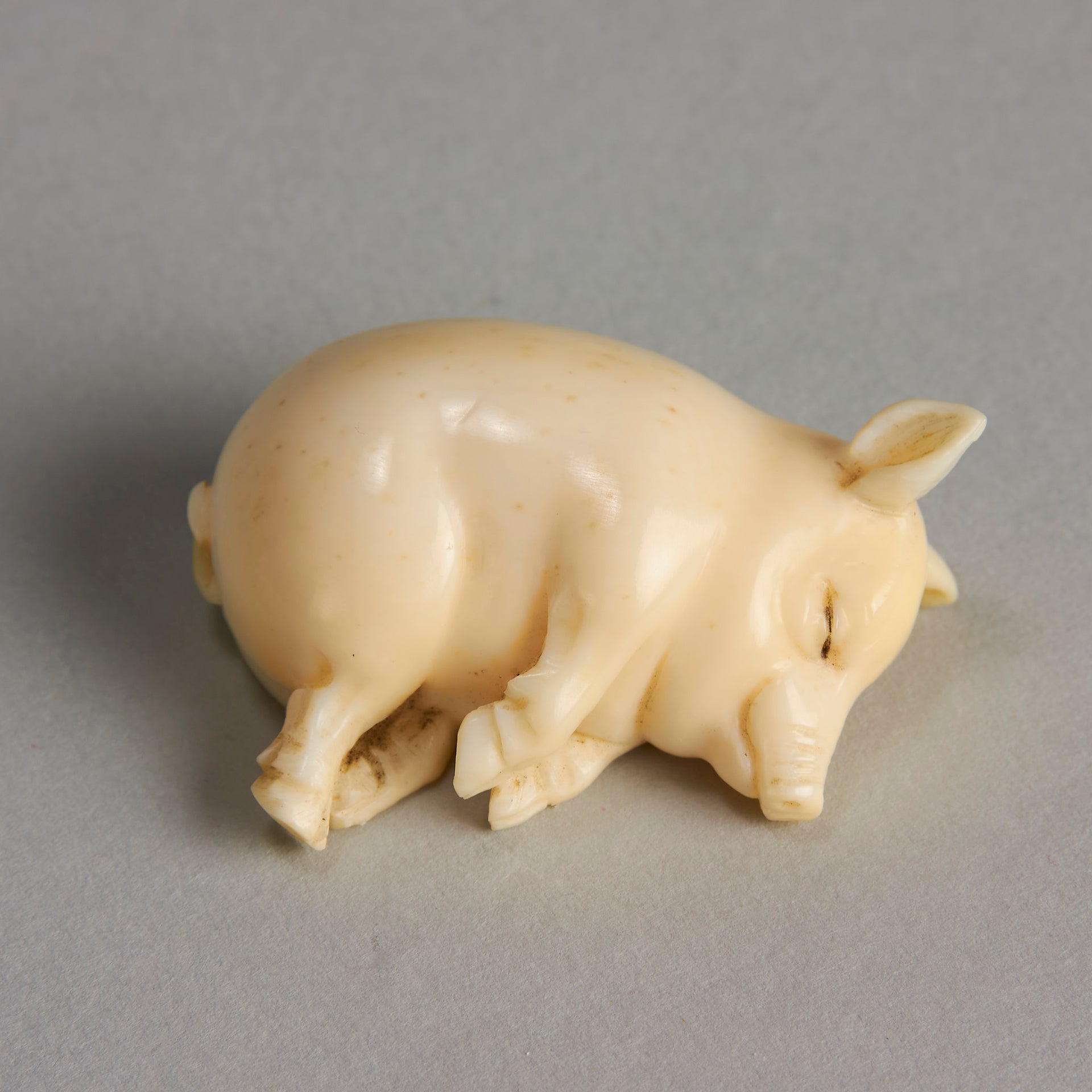 Ivory Lucky Pig