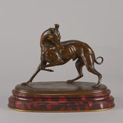 Bronze whippet