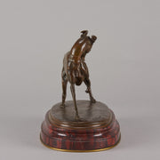 Bronze whippet