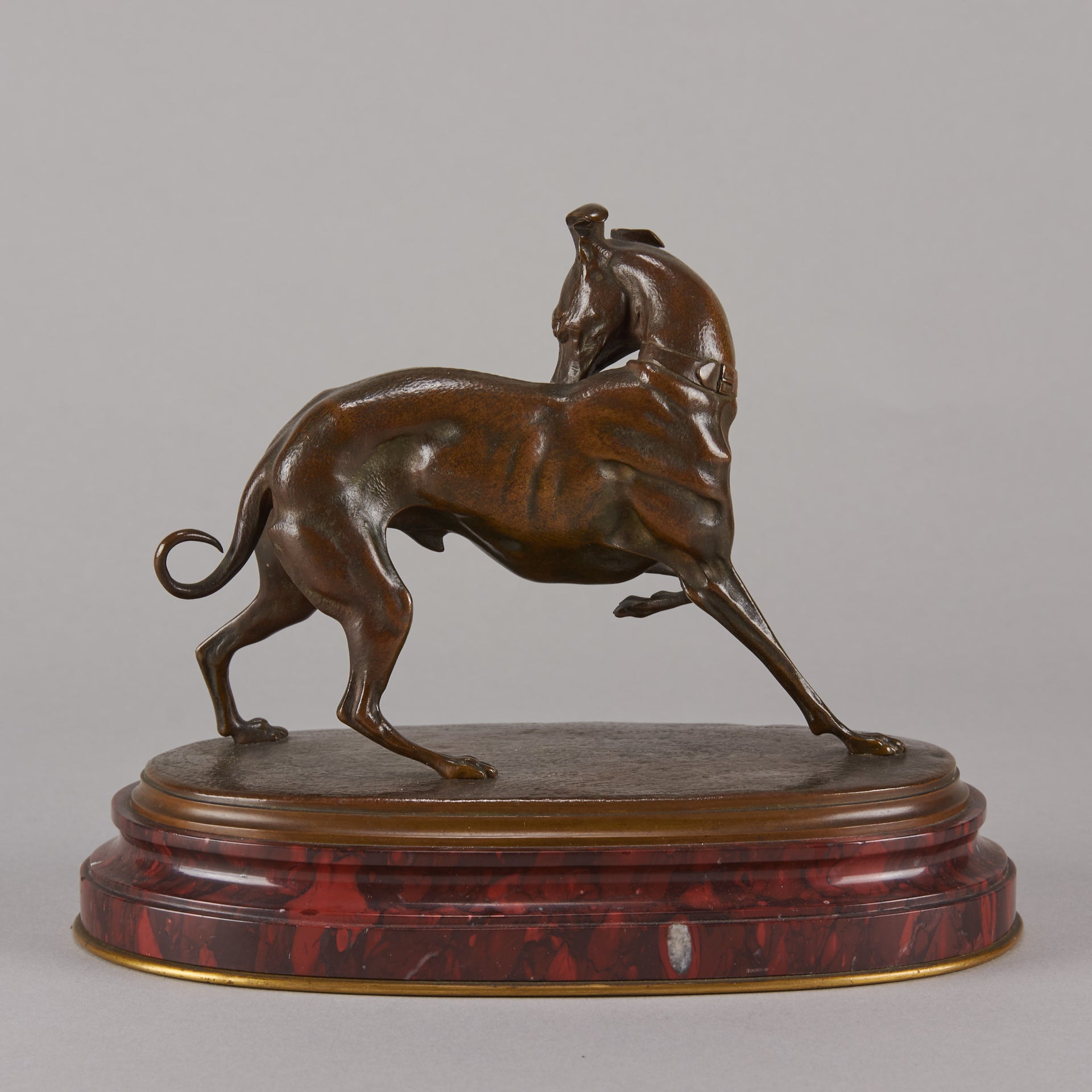 Bronze whippet