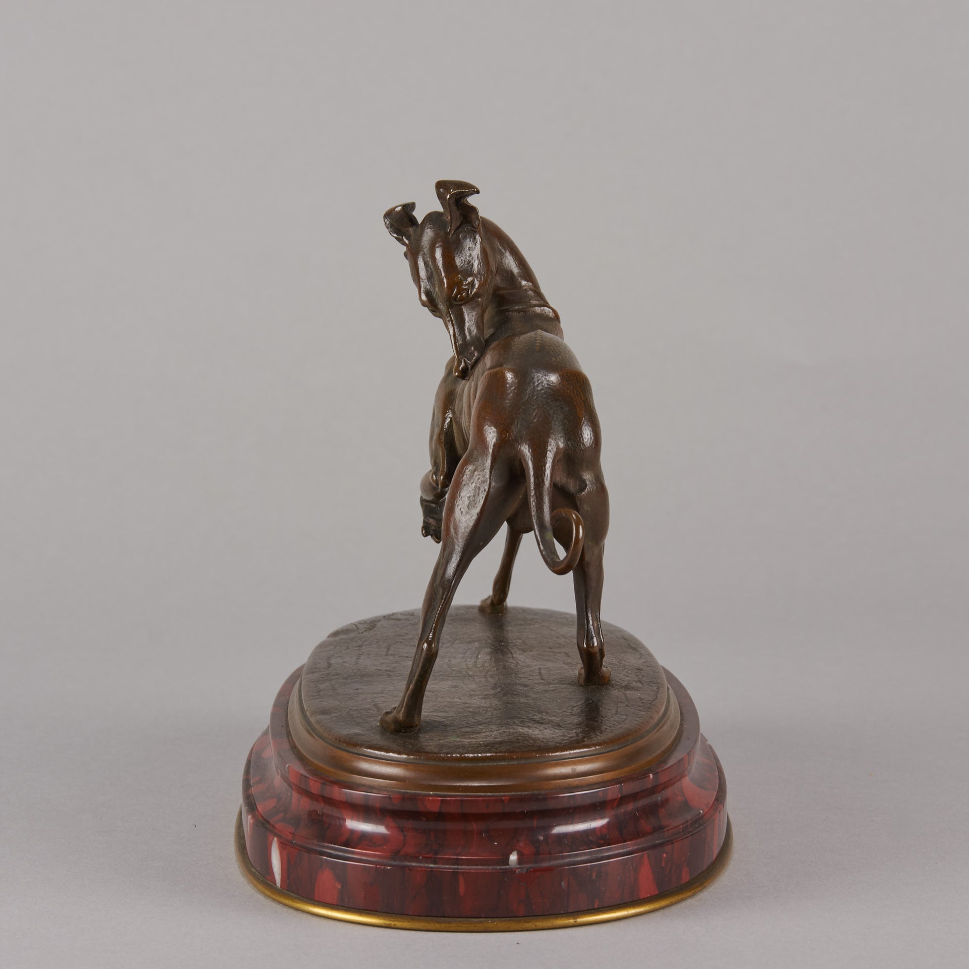 Bronze whippet