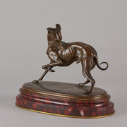 Bronze whippet