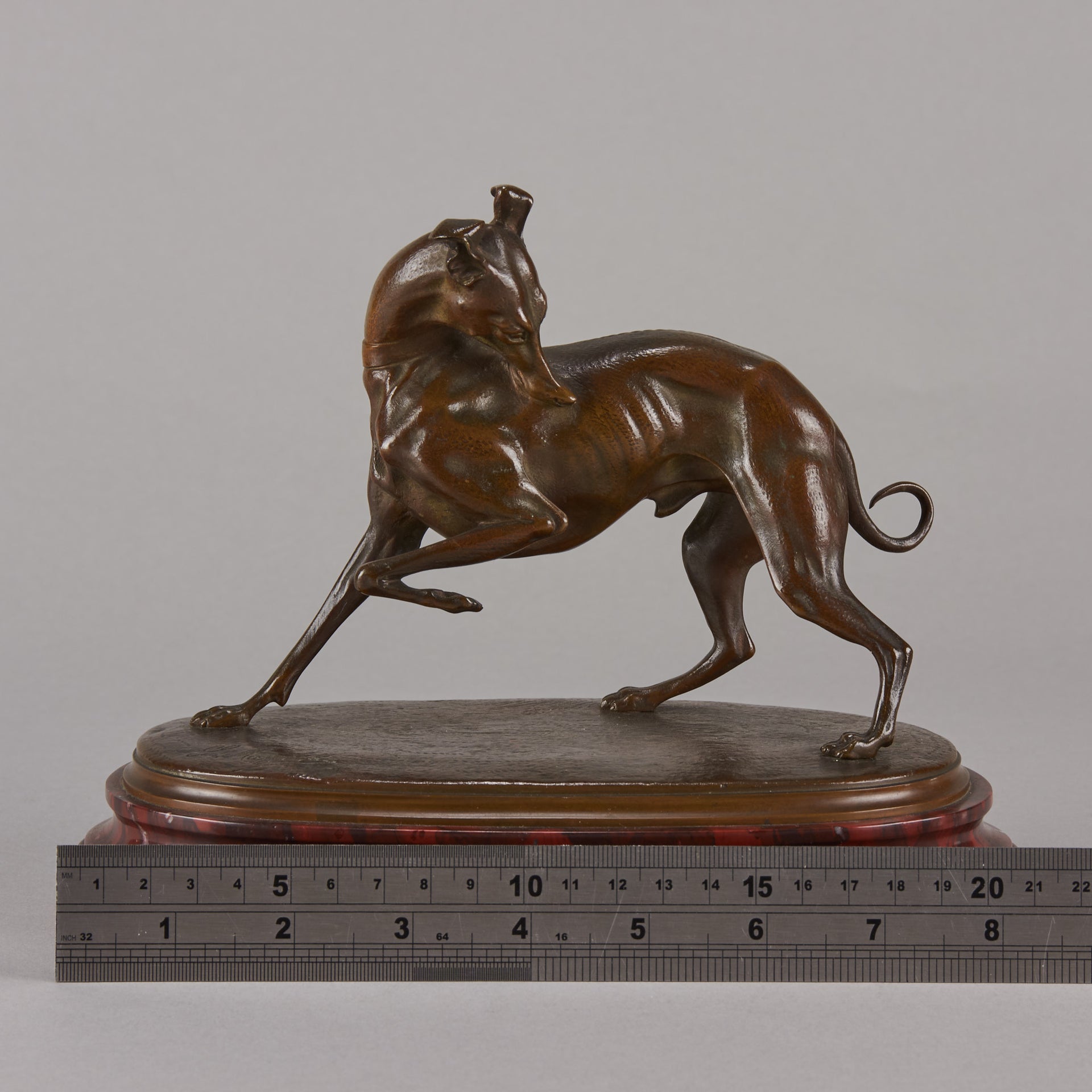 Bronze whippet