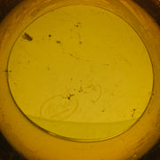 Moser Glass Golden Amber Vase - 20th Century Glass - Hickmet Fine Arts