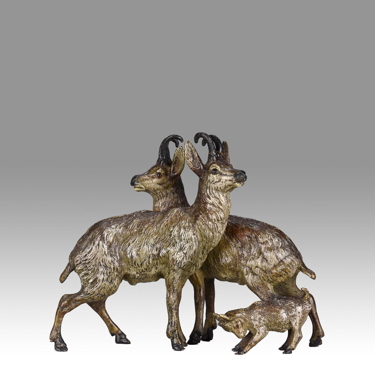 "Mountain Goat Family" by Franz Bergman