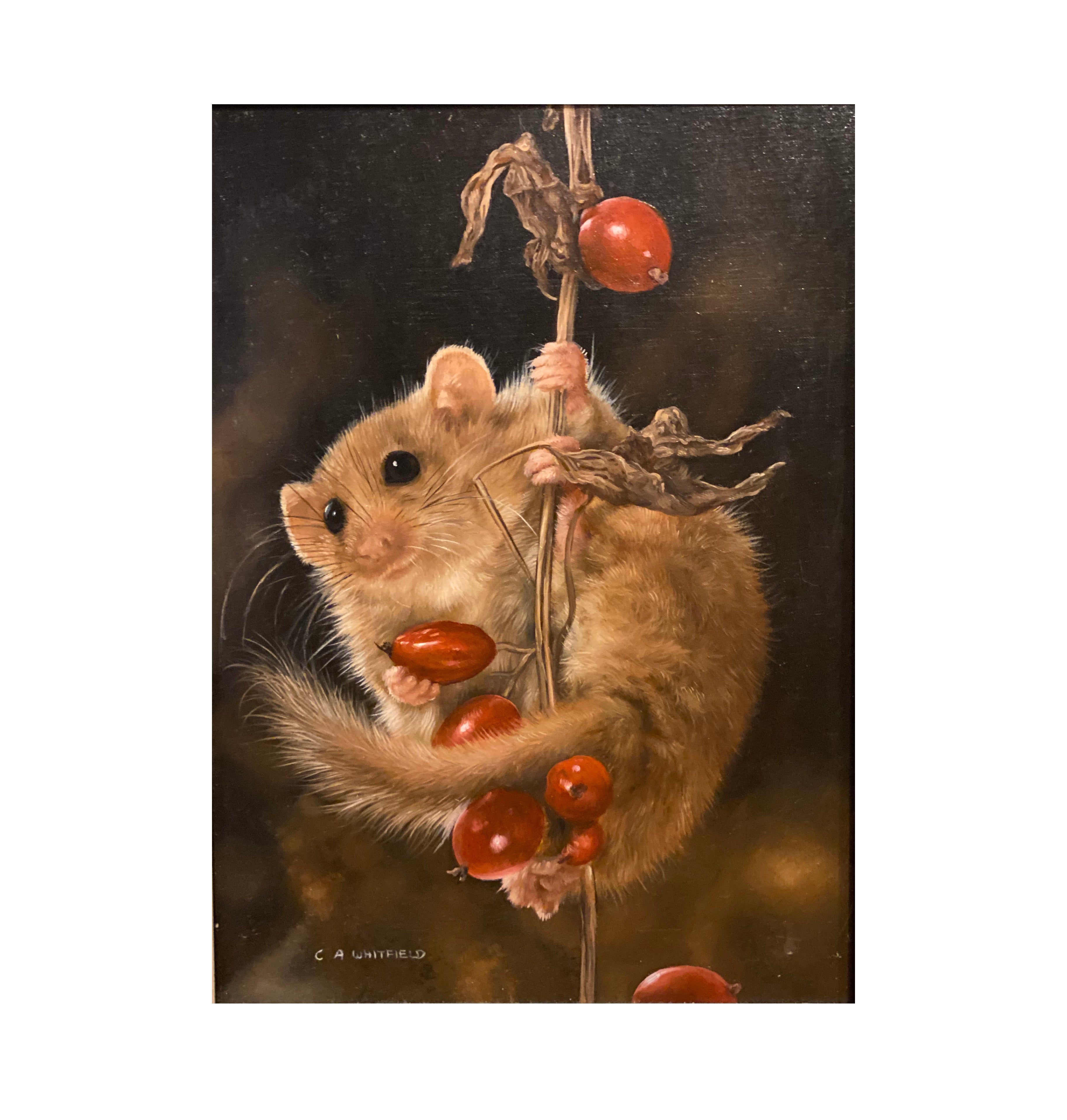 Carl Whitfield Oil Painting - Field Mouse - Hickmet Fine Arts