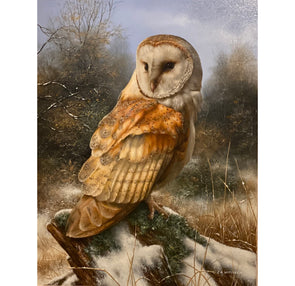 "Alert Owl" by Carl Whitfield