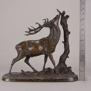 Mene Bronze Cerf Deer