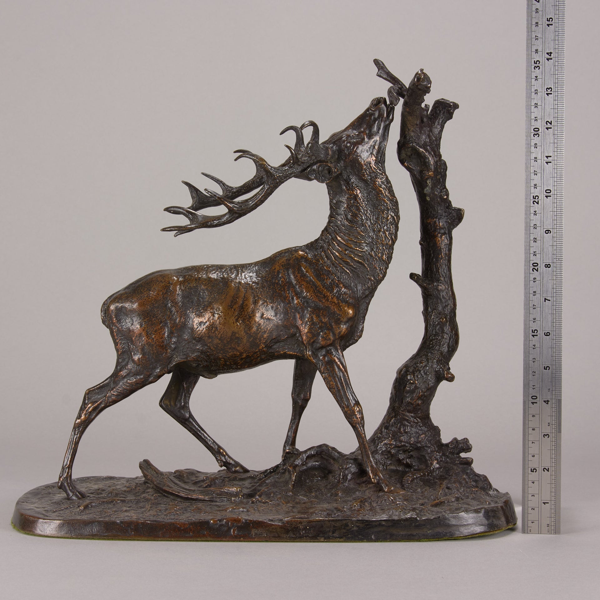 Mene Bronze Cerf Deer
