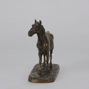 Cheval Arabe - Ibrahim No.3 Antique Bronze statue of 'Ibrahim' an Arab Stallion by Pierre-Jules Mêne standing with wonderful rich brown colour lightly rubbed to a golden hue hand finished with intricate surface detail standing on a naturalistic rectangular base