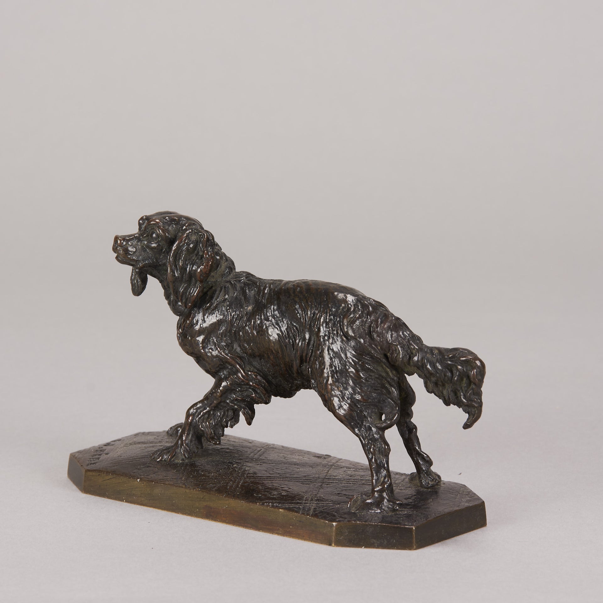 Mene Bronze Spaniel