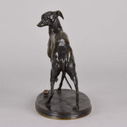 Mene bronze whippet Jiji