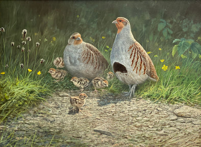 "Family of Grouse" by Alastair Proud