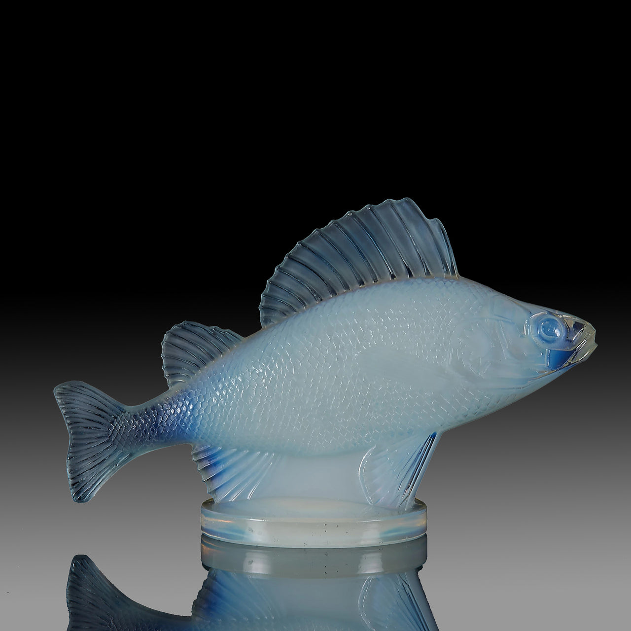 Perche Car Mascot by René Lalique a 20th Century Art Deco opalescent glass car mascot modelled as a swimming perch with excellent surface detail and deep sky blue colour
