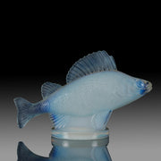 Perche Car Mascot by René Lalique a 20th Century Art Deco opalescent glass car mascot modelled as a swimming perch with excellent surface detail and deep sky blue colour