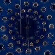 Art Deco Glass - Lalique plate - Asters No.2 - Lalique for sale - Lalique Glass for sale - Rene Lalique Glass - Hickmet Fine Arts