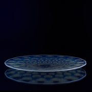 Art Deco Glass - Lalique plate - Asters No.2 - Lalique for sale - Lalique Glass for sale - Rene Lalique Glass - Hickmet Fine Arts