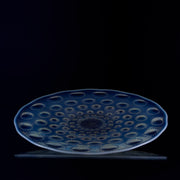 Art Deco Glass - Lalique plate - Asters No.2 - Lalique for sale - Lalique Glass for sale - Rene Lalique Glass - Hickmet Fine Arts
