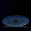 Art Deco Glass - Lalique plate - Asters No.2 - Lalique for sale - Lalique Glass for sale - Rene Lalique Glass - Hickmet Fine Arts