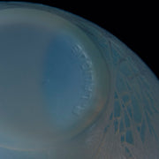 Art Deco Glass - lalique for sale - Esterel vase - Lalique Glass for sale - Rene Lalique Glass - Hickmet Fine Arts