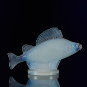 Perche Car Mascot by René Lalique a 20th Century Art Deco opalescent glass car mascot modelled as a swimming perch with excellent surface detail and deep sky blue colour