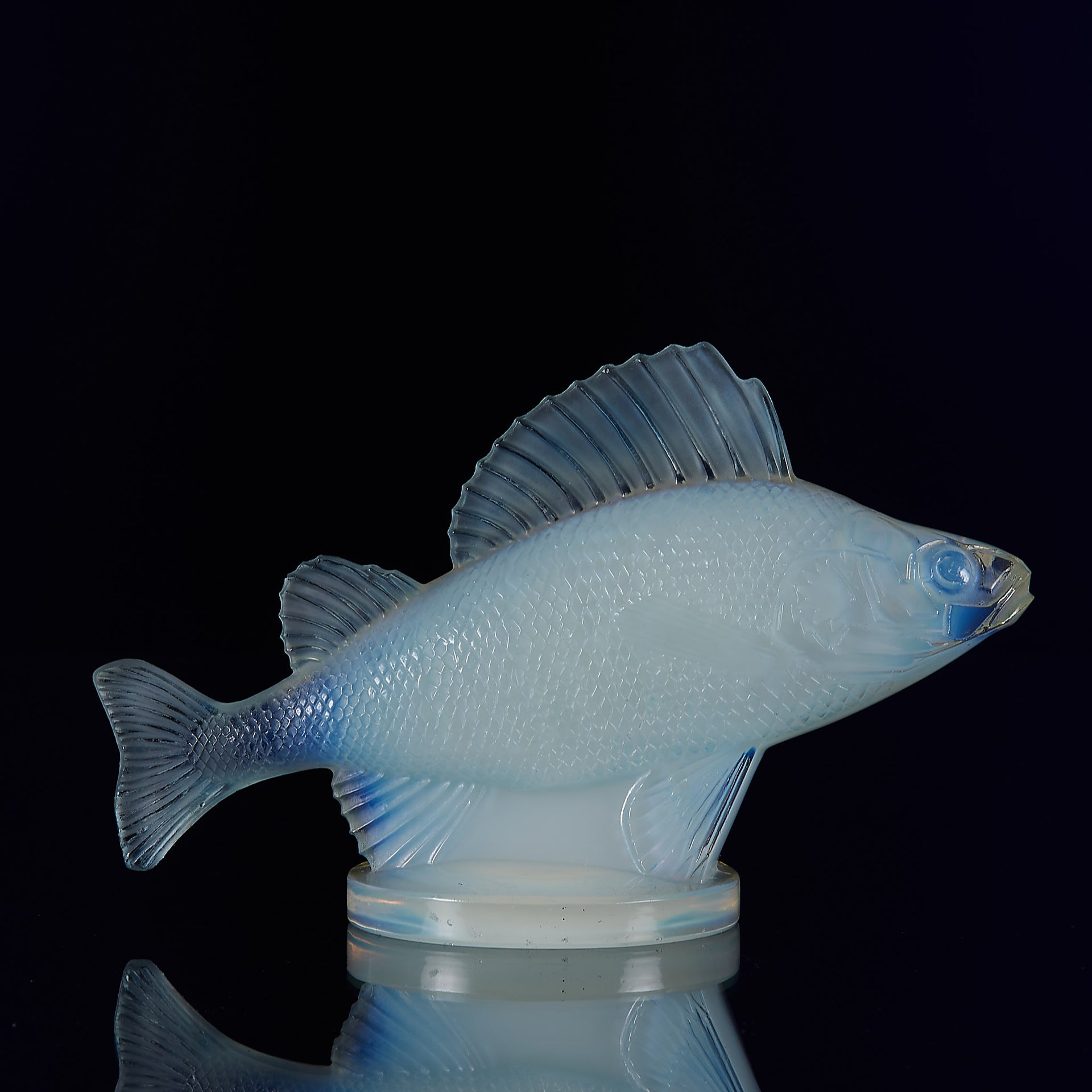 Perche Car Mascot by René Lalique a 20th Century Art Deco opalescent glass car mascot modelled as a swimming perch with excellent surface detail and deep sky blue colour