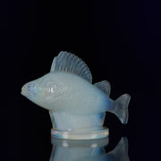 Perche Car Mascot by René Lalique a 20th Century Art Deco opalescent glass car mascot modelled as a swimming perch with excellent surface detail and deep sky blue colour