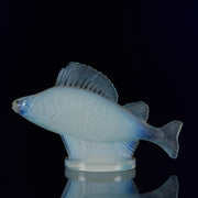 Perche Car Mascot by René Lalique a 20th Century Art Deco opalescent glass car mascot modelled as a swimming perch with excellent surface detail and deep sky blue colour