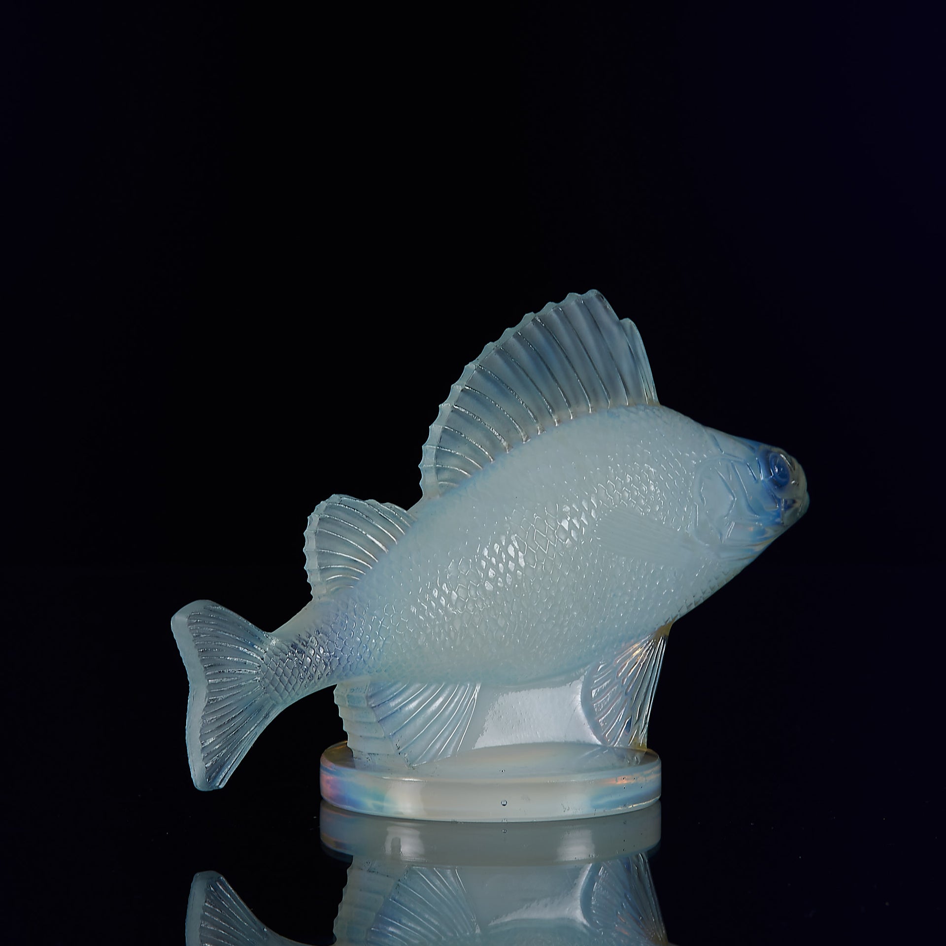 Perche Car Mascot by René Lalique a 20th Century Art Deco opalescent glass car mascot modelled as a swimming perch with excellent surface detail and deep sky blue colour