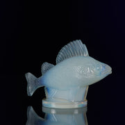 Perche Car Mascot by René Lalique a 20th Century Art Deco opalescent glass car mascot modelled as a swimming perch with excellent surface detail and deep sky blue colour