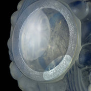 René Lalique Avallon Vase