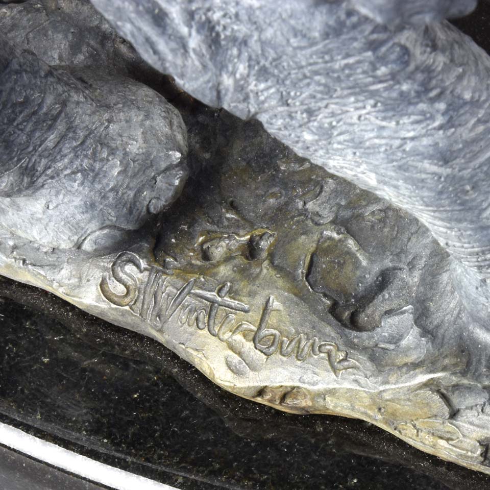 Spirit of India by Steve Winterburn Limited Edition Bronze