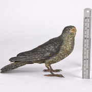 ‘Standing Cuckoo’ by Bergman