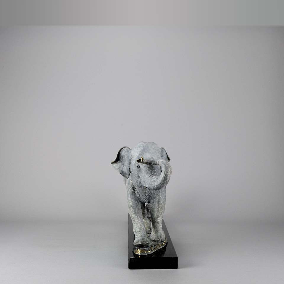 Steve Winterburn Limited Edition Bronze Elephants