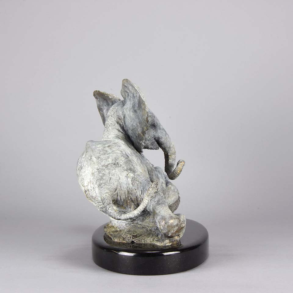 Steve Winterburn Elephant - Limited Edition Bronze 