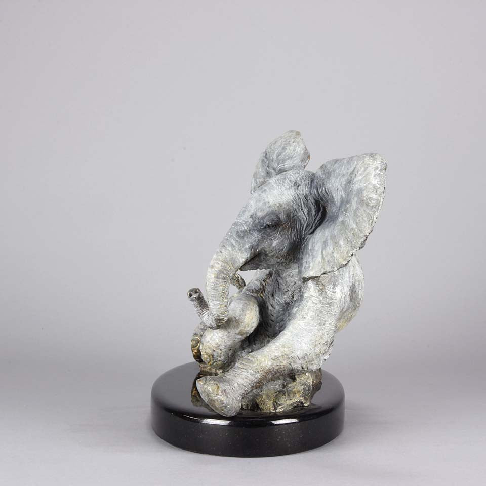 Steve Winterburn Elephant - Limited Edition Bronze 